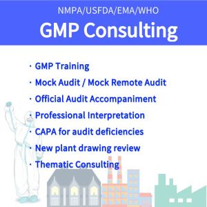 GMP Consultation