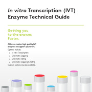 IVT Enzymes