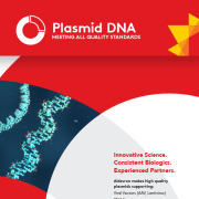 Plasmid DNA Production