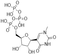 N1-MethylpseudoUridine-5'-Triphosphate