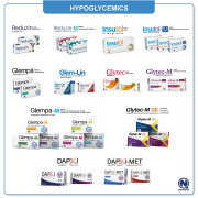 Hypoglycemics