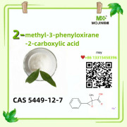 cas5449-16-7sodium,2-methyl-3-phenyloxirane-2-carboxylic acid