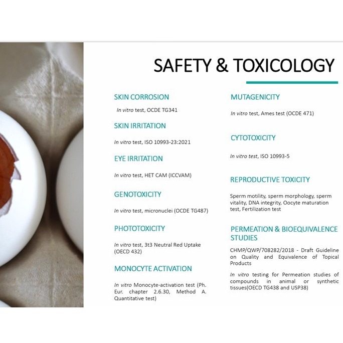 Safety and Toxicity in vitro