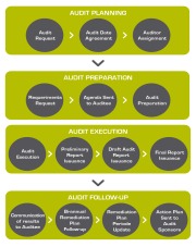Audit lifecycle