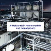 Nitrofurantoin macrocrustals and monohydrate