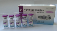 H1N1 Influenza A Vaccine