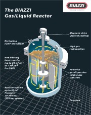 Biazzi High Performance Reactor System (BHPRS)