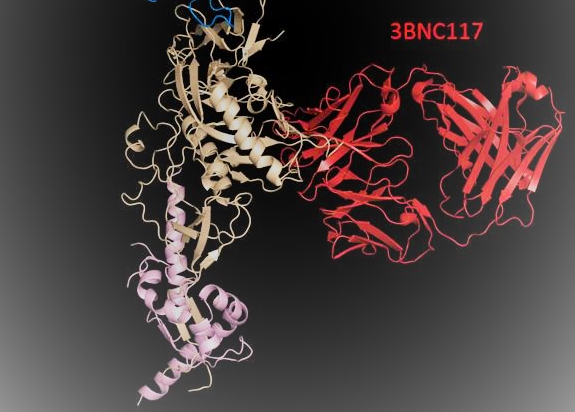 3BNC117 - A Novel Broad-spectrum HIV Neutralizing Antibody