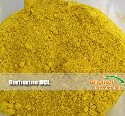 Berberine HCL
