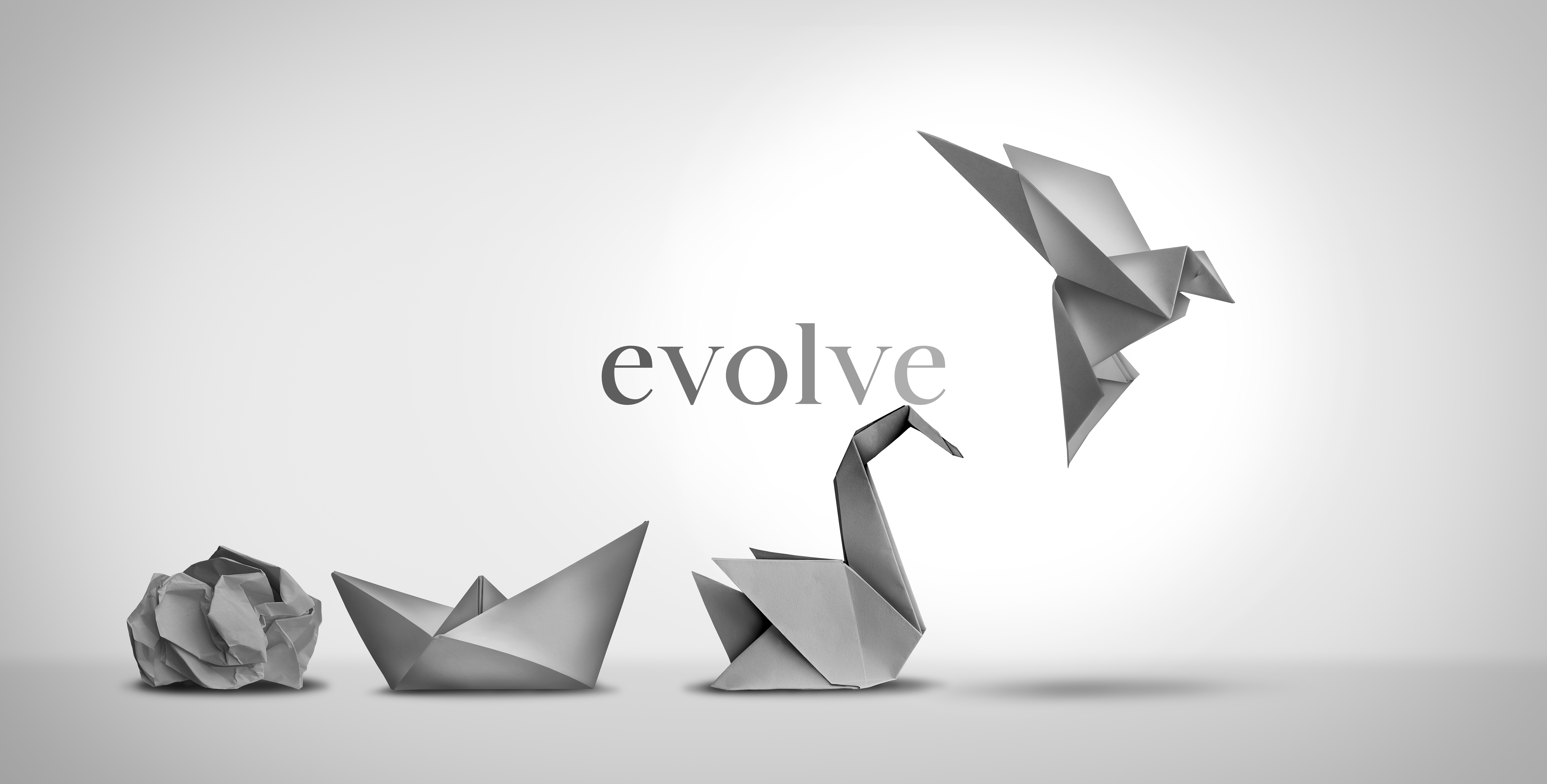 evolve Consulting
