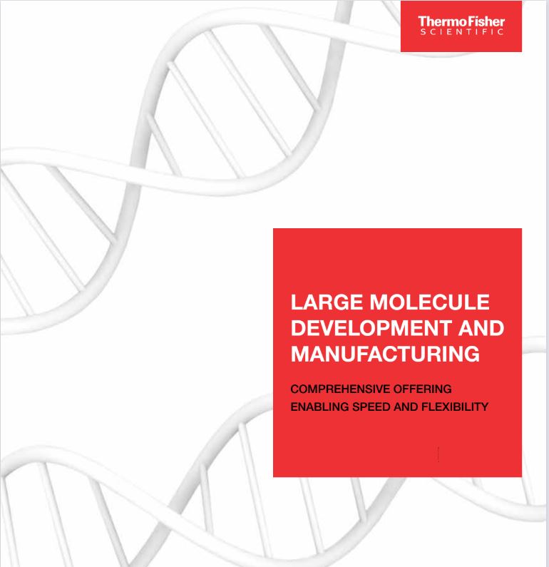 Large molecule development and manufacturing