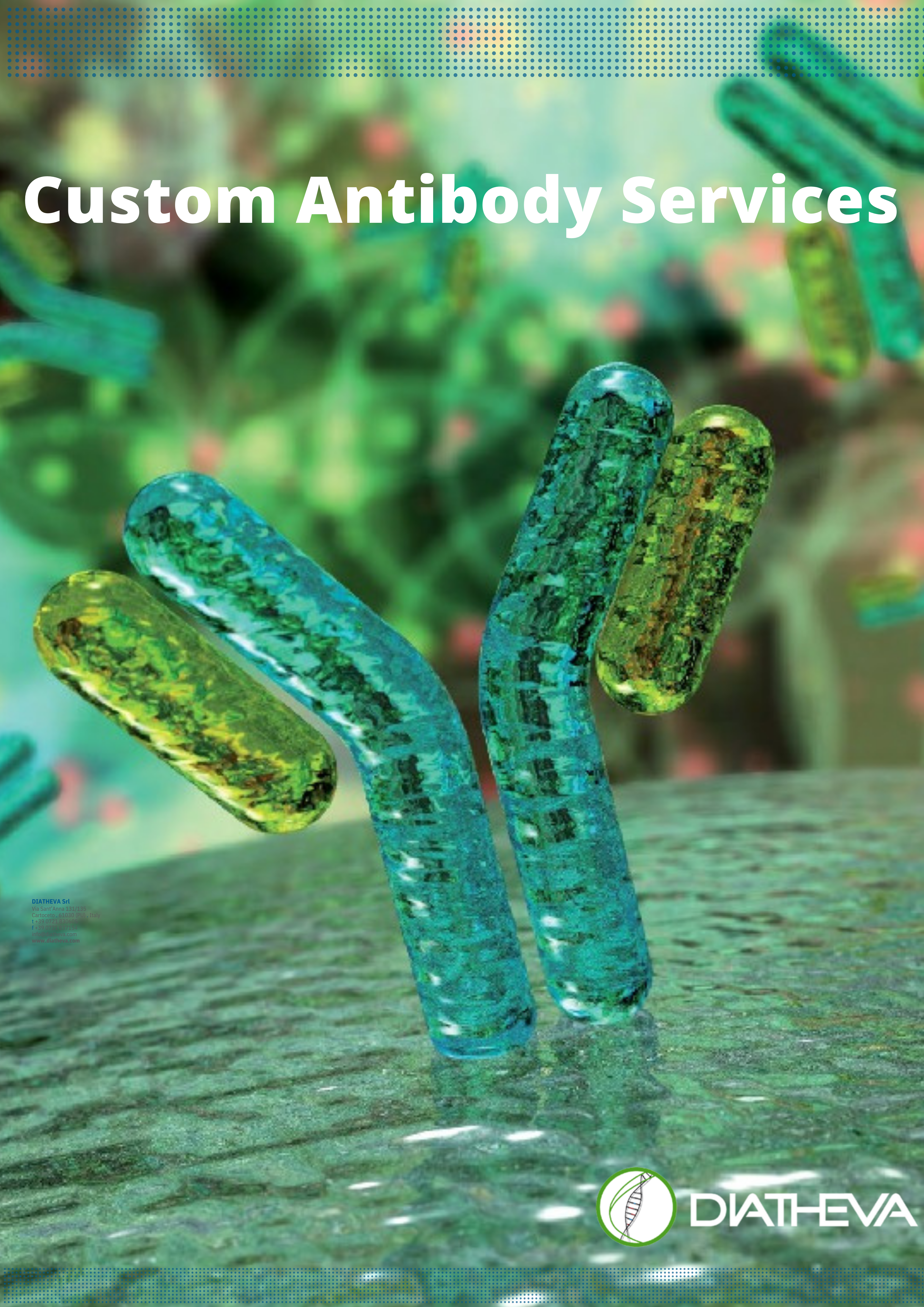 Custom Antibody Services