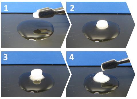 Co-processed Excipient for Direct Compression Designed for Orally Disintegrating Tablets