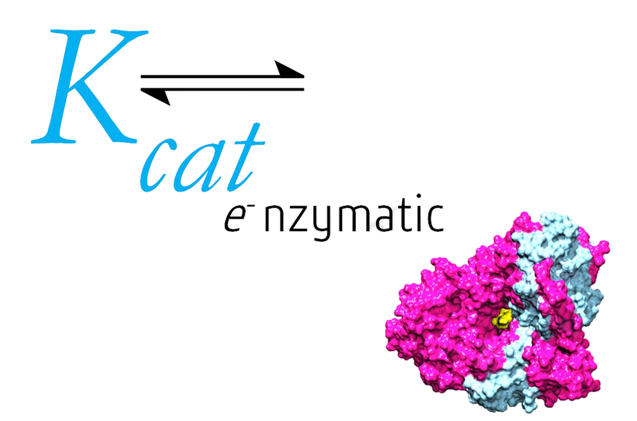 Kcat Enzymatic Private Limited