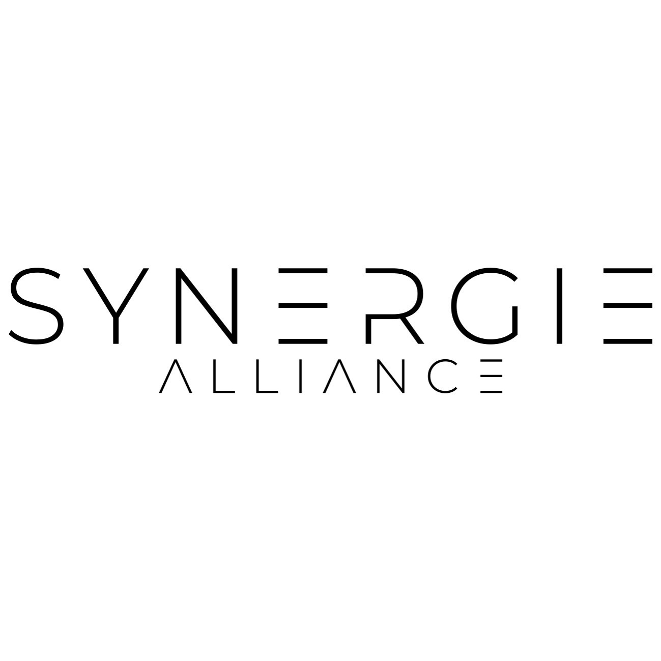 Synergie Alliance Pte. Ltd.