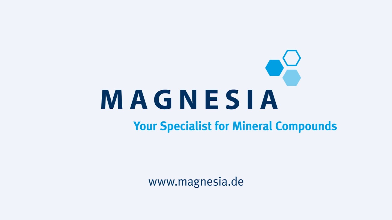 MAGNESIA Business Model in 100 seconds