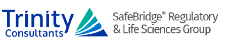 Safebridge Consultants, Inc.