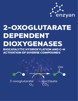 2ODD-Panel Flyer