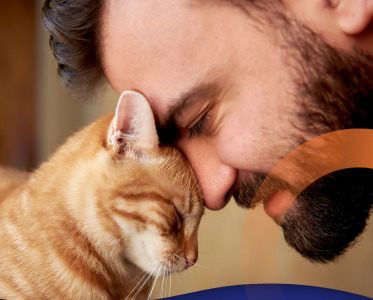 Animal Health Brochure