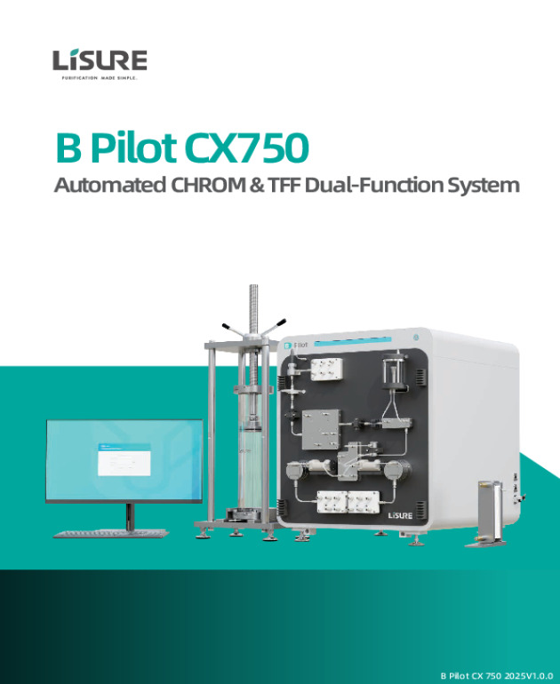 B Pilot CX750