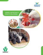 Brochure - Animal Nutrition & Health Solutions