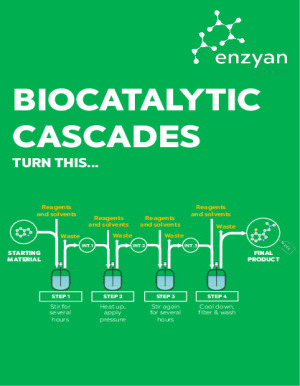 Cascades Flyer