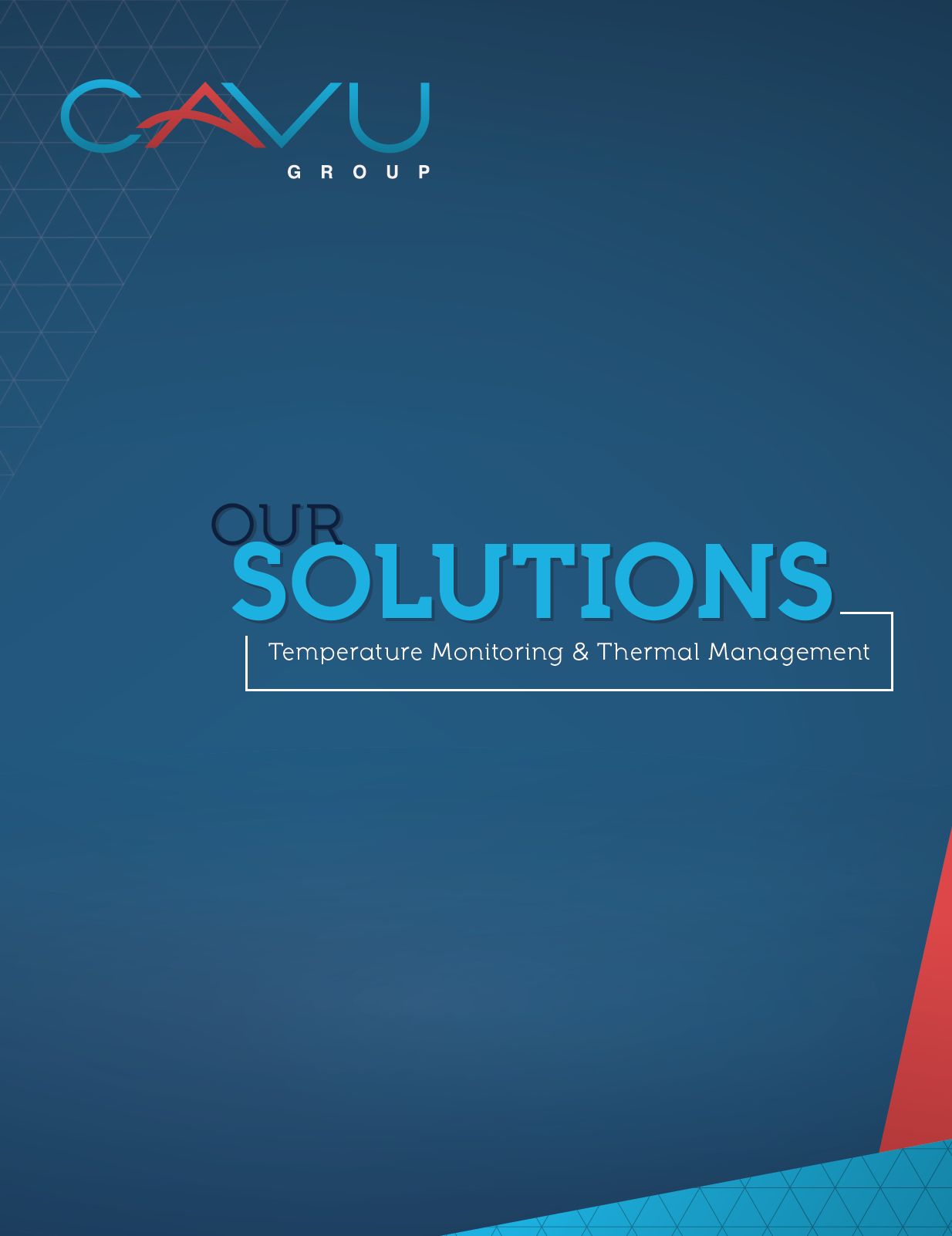 CAVU Group Brochure