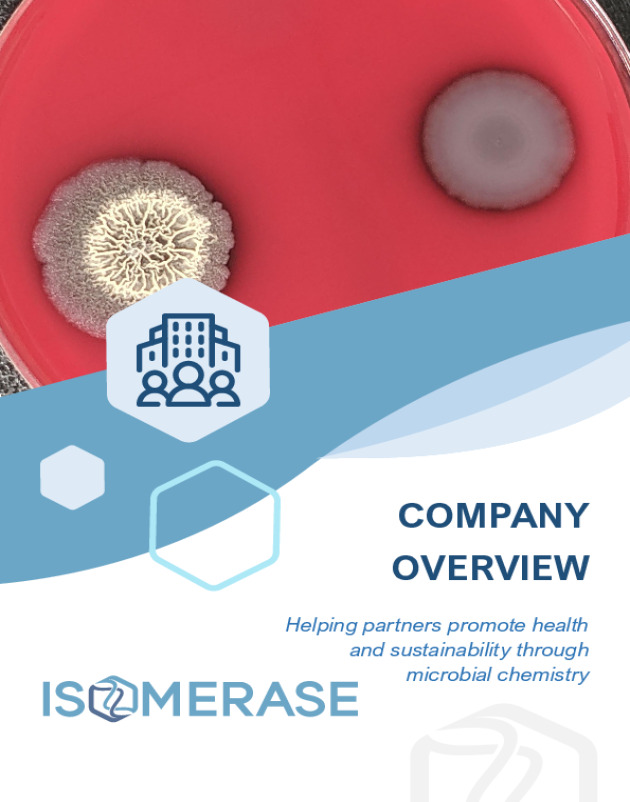 Company Overview