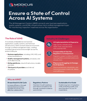 Ensure a state of control across your AI systems