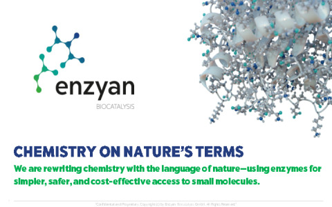 Enzyan's service portfolio