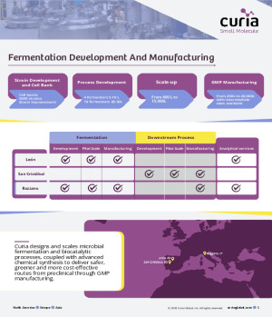 Fermentation and Development