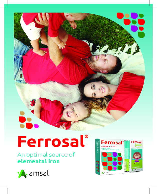 Ferrosal - Brochure