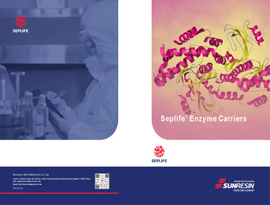 High-performance Immobilized Enzyme Carriers