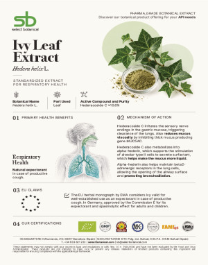 Ivy leaf dry extract – product sheet