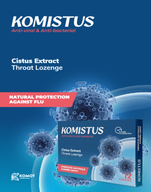 Komistus Brochure