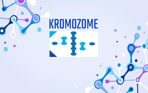 KROMOZOME PRODUCT PORTFOLIO