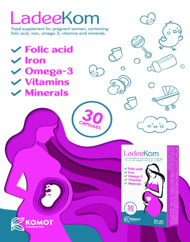 Ladeekom brochure