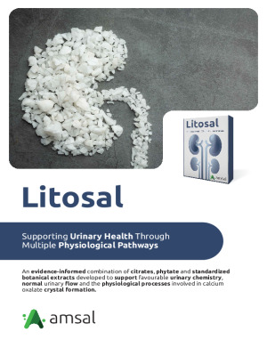 Litosal Brochure
