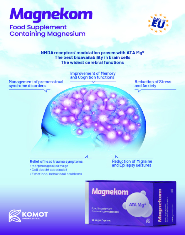 Magnekom Brochure