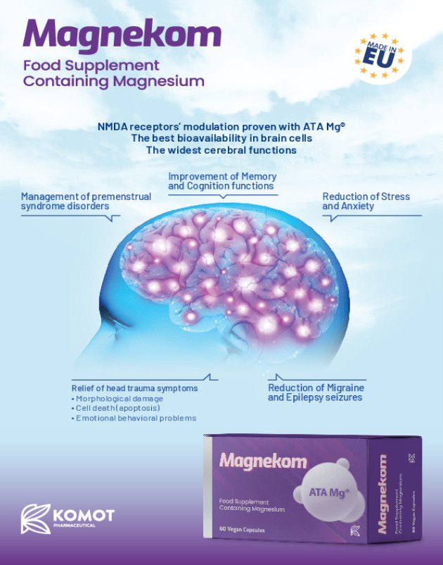 Magnekom brochure