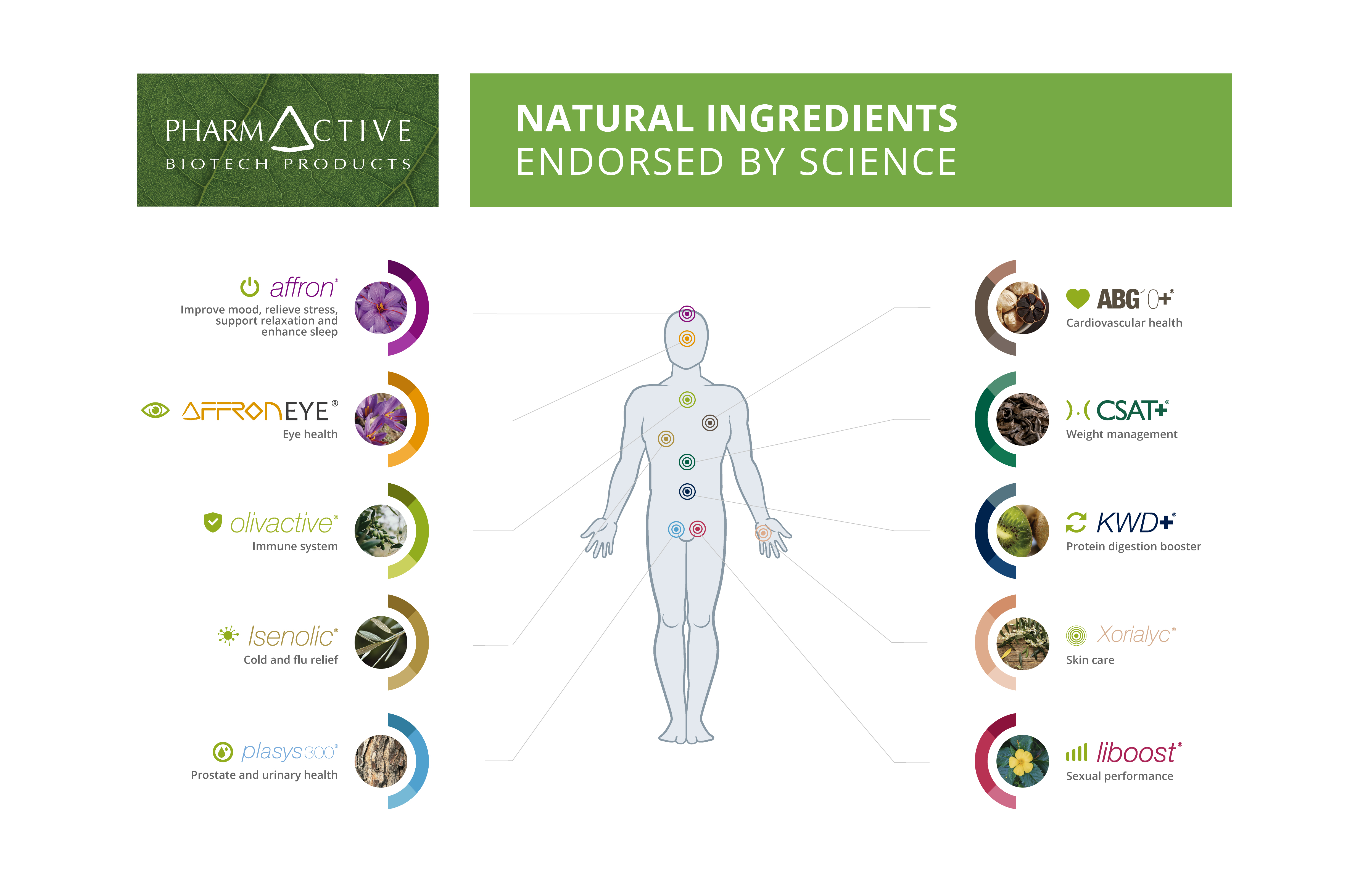 Pharmactive Biotech Products, SL