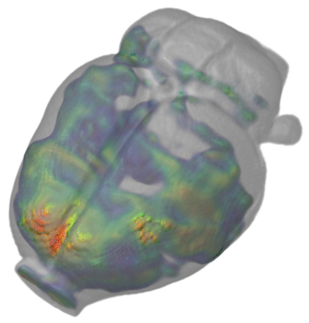 Pre-Clinical Functional Neuroimaging: Techniques for Comprehensive Characterisation of Drug Effect in the Brain
