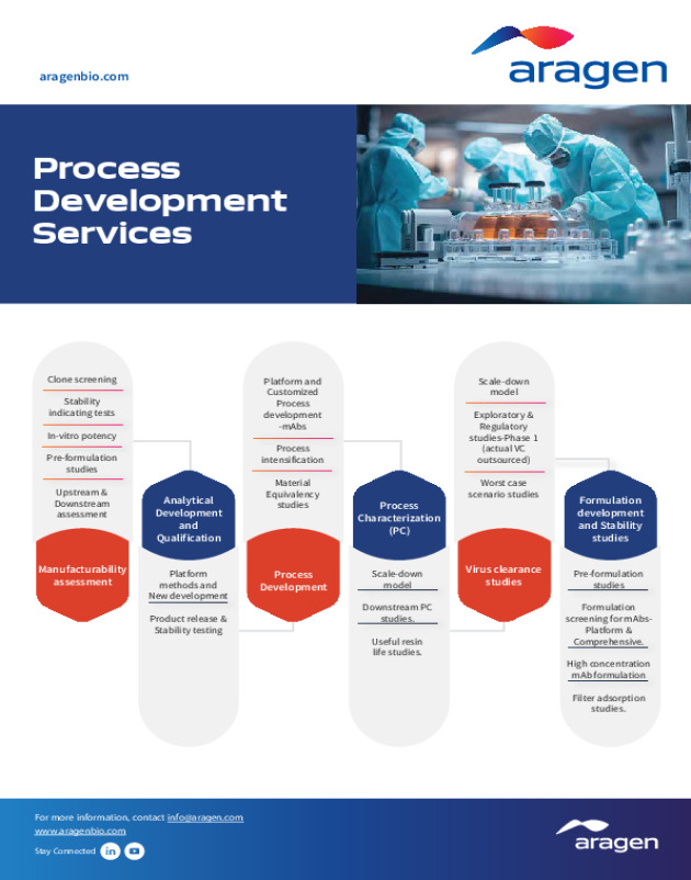 Process Development Services