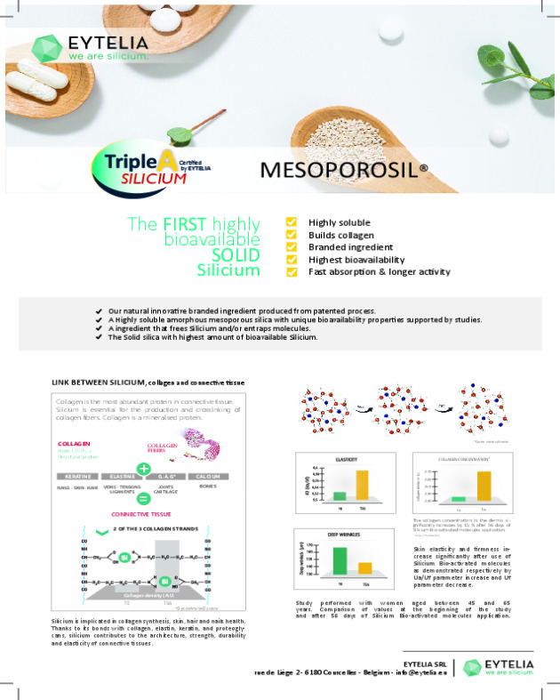 Productsheet Mesoporosil