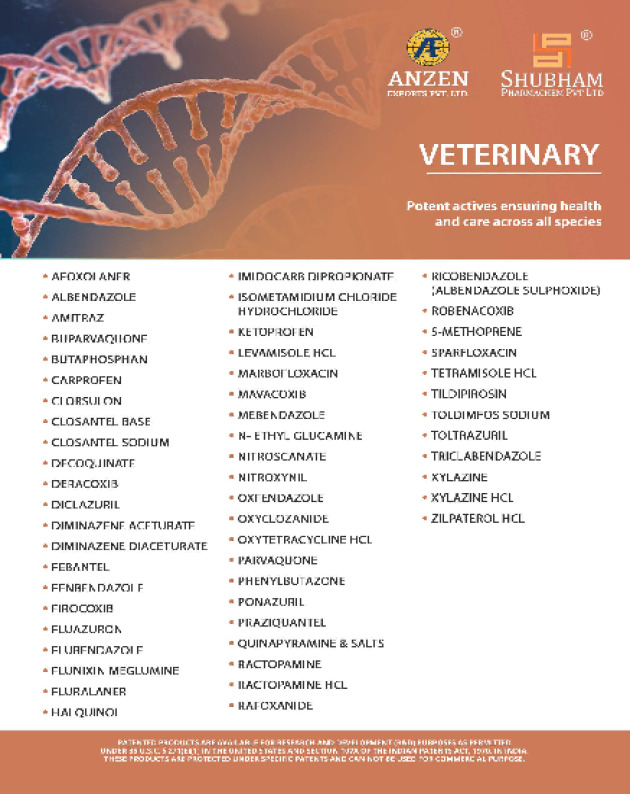 Veterinary Flyer
