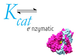 Kcat Enzymatic Pvt Ltd.