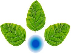 Anupam Rasayan India Ltd.
