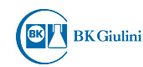 BK Giulini GmbH