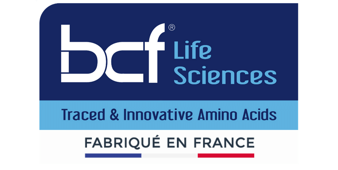 BRETAGNE CHIMIE FINE SAS