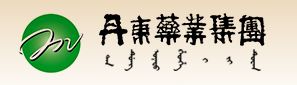 Dandong Pharmaceutical Group Co Ltd